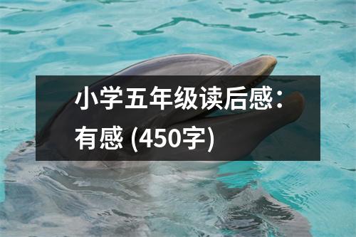 小學(xué)五年級讀后感：有感 (450字)