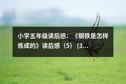 小學(xué)五年級讀后感：《鋼鐵是怎樣煉成的》讀后感（5） (350字)