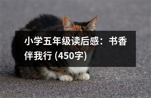 小學(xué)五年級(jí)讀后感：書香伴我行 (450字)