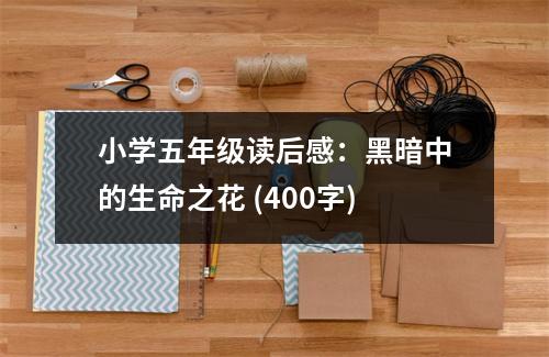 小學(xué)五年級(jí)讀后感：黑暗中的生命之花 (400字)