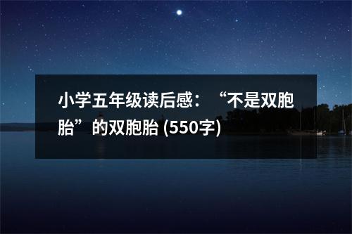 小學(xué)五年級(jí)讀后感：“不是雙胞胎”的雙胞胎 (550字)