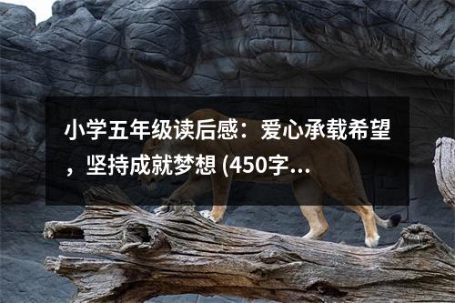 小學五年級讀后感：愛心承載希望，堅持成就夢想 (450字)