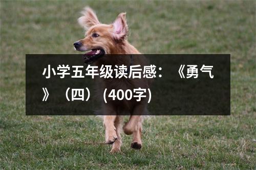 小學(xué)五年級讀后感：《勇氣》（四） (400字)