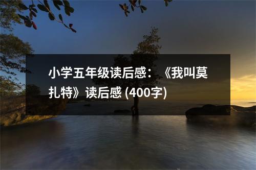 小學(xué)五年級(jí)讀后感：《我叫莫扎特》讀后感 (400字)