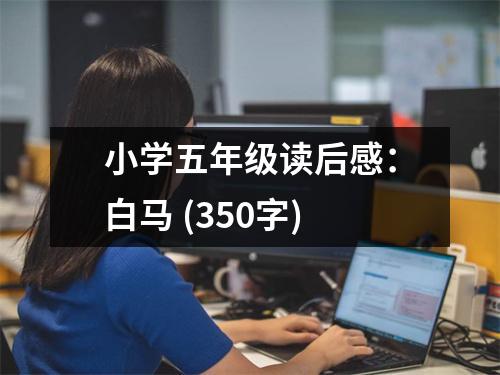 小學(xué)五年級讀后感：白馬 (350字)