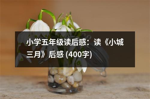 小學(xué)五年級讀后感：讀《小城三月》后感 (400字)