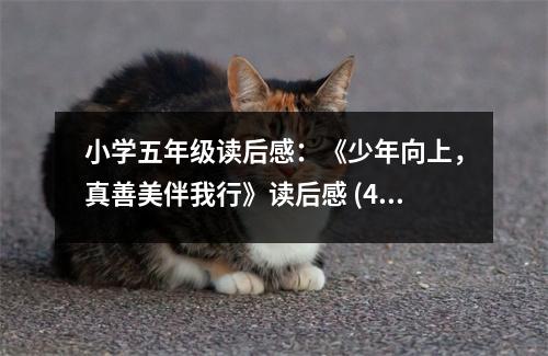 小學(xué)五年級讀后感：《少年向上，真善美伴我行》讀后感 (450字)