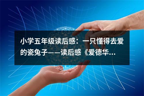 小學(xué)五年級(jí)讀后感：一只懂得去愛的瓷兔子——讀后感《愛德華的奇幻之旅》 (450字)