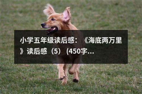 小學五年級讀后感：《海底兩萬里》讀后感（5） (450字)