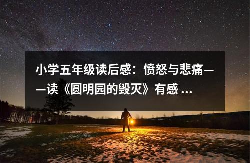 小學(xué)五年級(jí)讀后感：憤怒與悲痛——讀《圓明園的毀滅》有感 (400字)