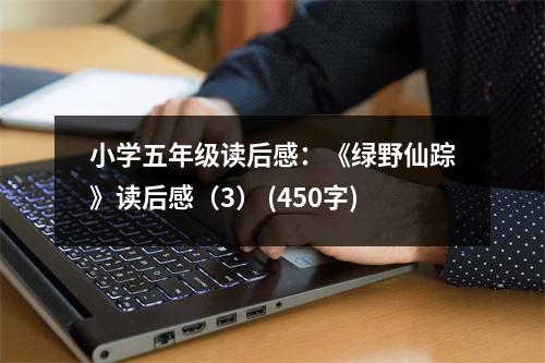 小學(xué)五年級(jí)讀后感：《綠野仙蹤》讀后感（3） (450字)
