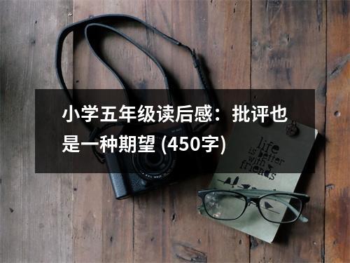 小學五年級讀后感：批評也是一種期望 (450字)