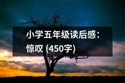 小學(xué)五年級讀后感：驚嘆 (450字)