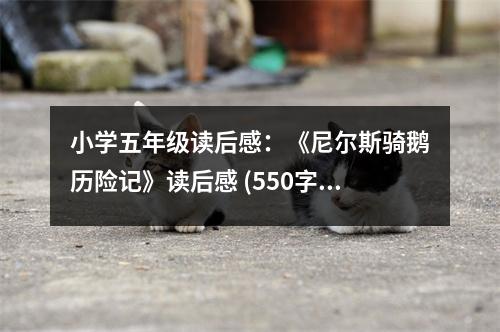 小學(xué)五年級讀后感：《尼爾斯騎鵝歷險(xiǎn)記》讀后感 (550字)