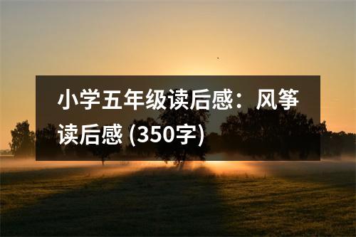 小學五年級讀后感：風箏讀后感 (350字)