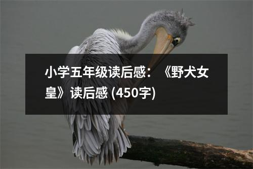 小學五年級讀后感：《野犬女皇》讀后感 (450字)