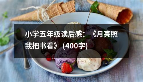 小學五年級讀后感：《月亮照我把書看》 (400字)