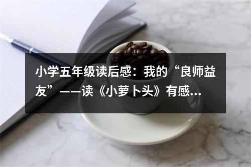 小學(xué)五年級讀后感：我的“良師益友”——讀《小蘿卜頭》有感 (450字)