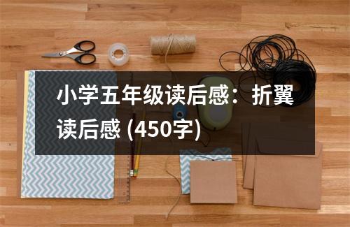 小學(xué)五年級讀后感：折翼讀后感 (450字)