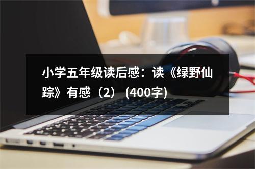 小學(xué)五年級(jí)讀后感：讀《綠野仙蹤》有感（2） (400字)