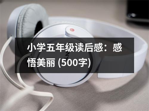 小學(xué)五年級(jí)讀后感：感悟美麗 (500字)