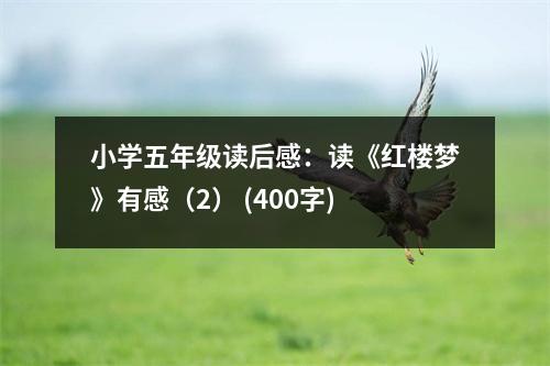 小學(xué)五年級(jí)讀后感：讀《紅樓夢(mèng)》有感（2） (400字)