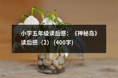 小學(xué)五年級(jí)讀后感：《神秘島》讀后感（2） (400字)