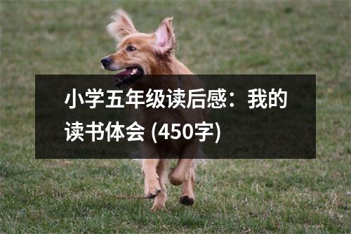 小學(xué)五年級(jí)讀后感：我的讀書體會(huì) (450字)