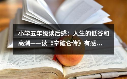 小學(xué)五年級(jí)讀后感：人生的低谷和高潮——讀《拿破侖傳》有感 (500字)