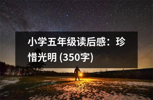 小學(xué)五年級(jí)讀后感：珍惜光明 (350字)