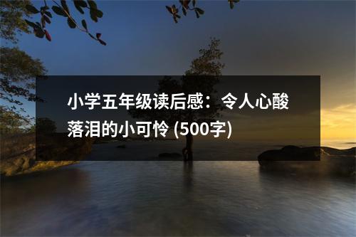 小學(xué)五年級(jí)讀后感：令人心酸落淚的小可憐 (500字)