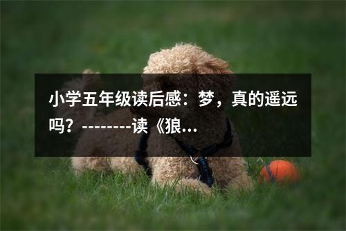 小學(xué)五年級讀后感：夢，真的遙遠(yuǎn)嗎？--------讀《狼王夢》有感 (450字)