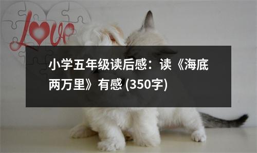 小學(xué)五年級讀后感：讀《海底兩萬里》有感 (350字)