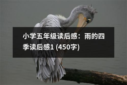 小學(xué)五年級(jí)讀后感：雨的四季讀后感1 (450字)