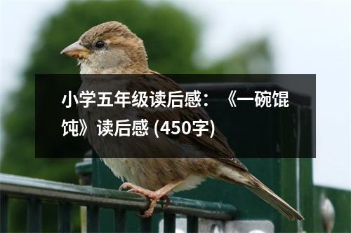 小學(xué)五年級(jí)讀后感：《一碗餛飩》讀后感 (450字)