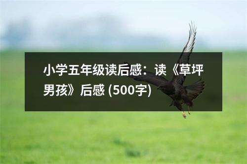 小學(xué)五年級(jí)讀后感：讀《草坪男孩》后感 (500字)