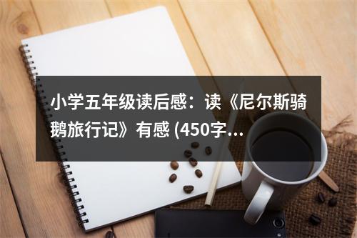 小學(xué)五年級讀后感：讀《尼爾斯騎鵝旅行記》有感 (450字)
