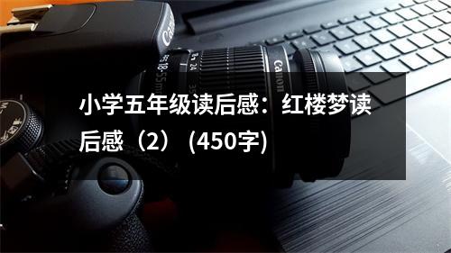 小學(xué)五年級讀后感：紅樓夢讀后感（2） (450字)