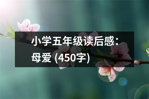 小學(xué)五年級(jí)讀后感：母愛 (450字)
