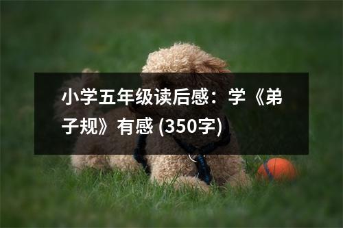 小學(xué)五年級(jí)讀后感：學(xué)《弟子規(guī)》有感 (350字)