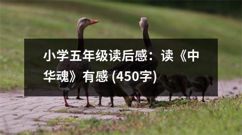 小學(xué)五年級讀后感：讀《中華魂》有感 (450字)