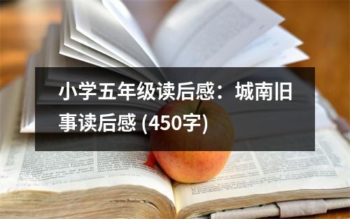 小學(xué)五年級讀后感：城南舊事讀后感 (450字)