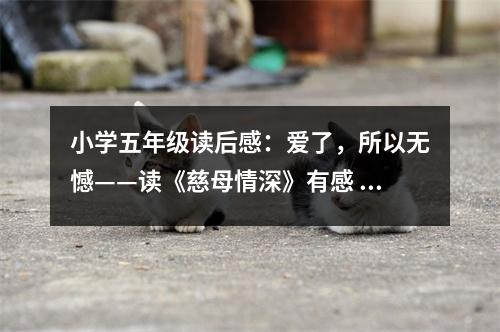 小學(xué)五年級讀后感：愛了，所以無憾——讀《慈母情深》有感 (400字)