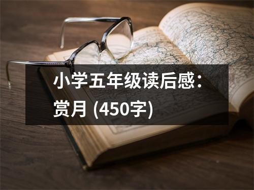 小學(xué)五年級讀后感：賞月 (450字)