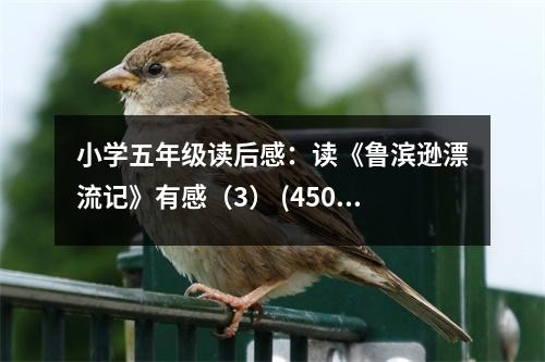 小學(xué)五年級讀后感：讀《魯濱遜漂流記》有感（3） (450字)