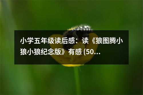 小學五年級讀后感：讀《狼圖騰小狼小狼紀念版》有感 (500字)