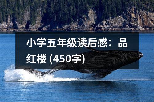 小學五年級讀后感：品紅樓 (450字)