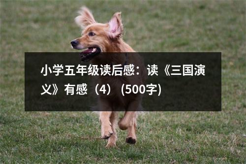 小學(xué)五年級(jí)讀后感：讀《三國演義》有感（4） (500字)