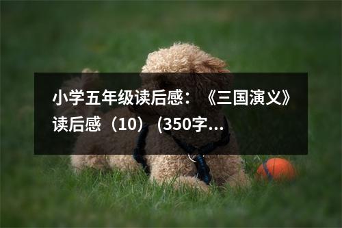 小學(xué)五年級(jí)讀后感：《三國(guó)演義》讀后感（10） (350字)