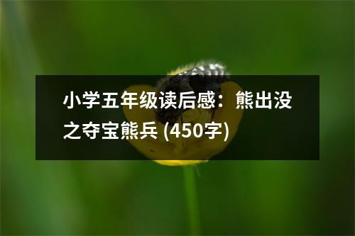 小學(xué)五年級讀后感：熊出沒之奪寶熊兵 (450字)